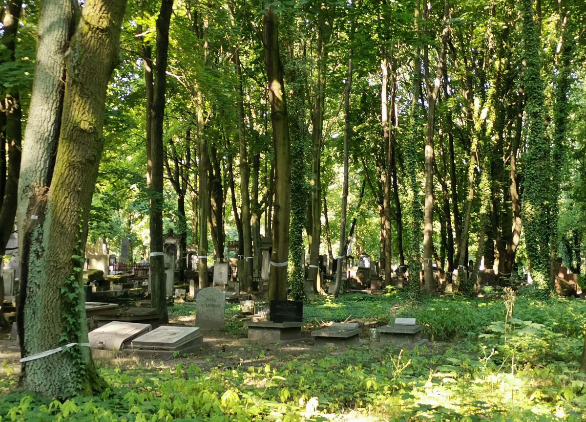 Cmentarz Żydowski w Łodzi