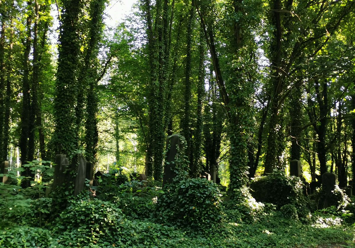 Cmentarz Żydowski w Łodzi