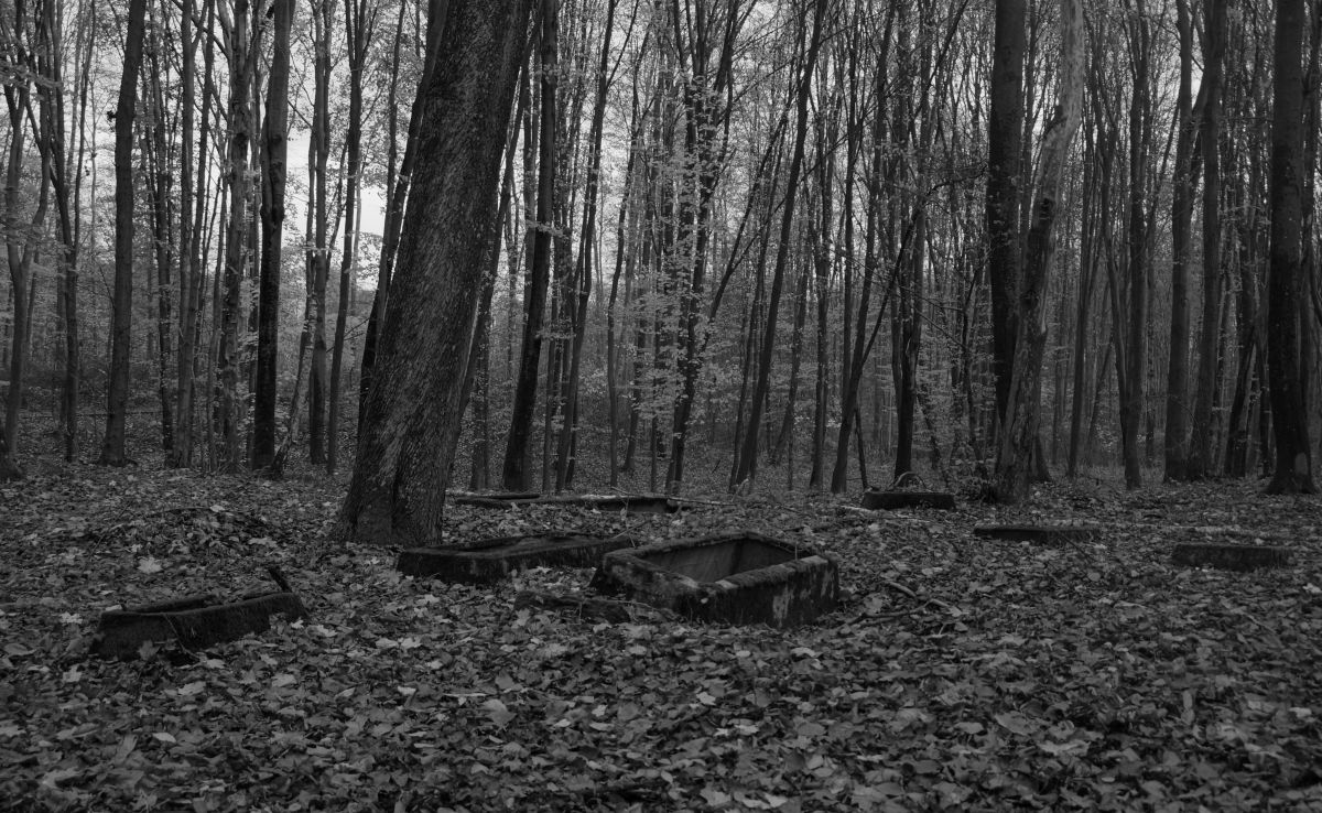 Cmentarz poniemiecki