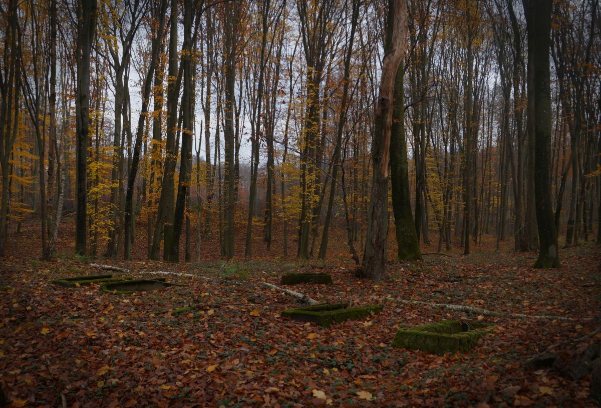 Cmentarz poniemiecki