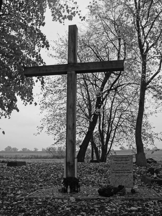 Cmentarz pomennonicki w Trylu