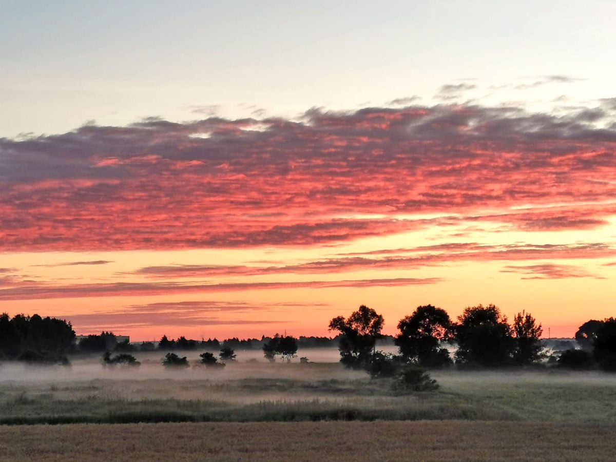 116045927 3155012877886430 697450541675349145 o