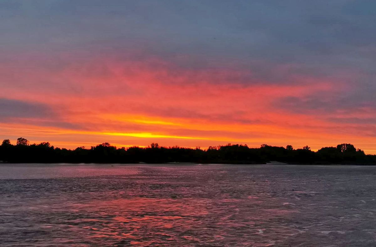 78216982 3011090328945353 648204422886719488 o